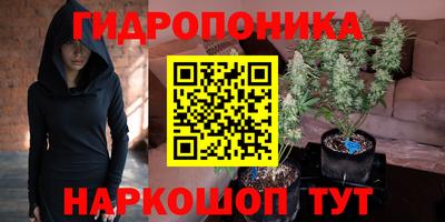 ГАЛЛЮЦИНОГЕННЫЕ ГРИБЫ Будённовск