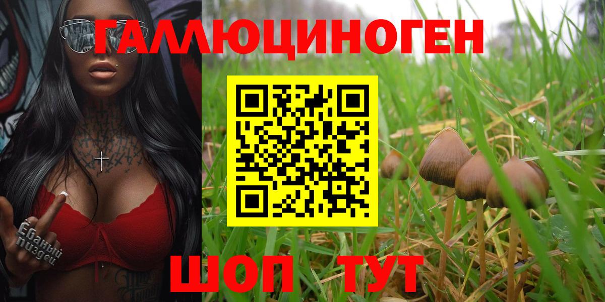 Псилоцибиновые грибы мицелий Петрозаводск